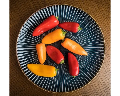 Aiya Navy 8-3/4" Plate