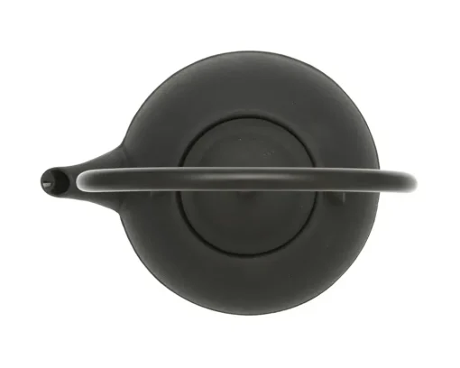 Cast Iron Teapot Sacred Gem 0.9L