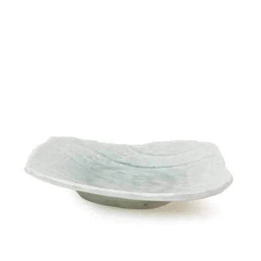Coral Blue Plate