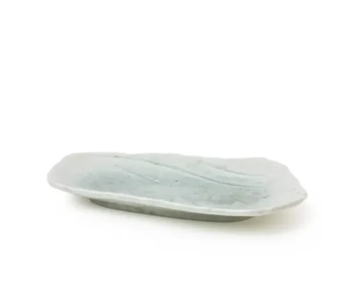 Coral Blue Rectangular Plate