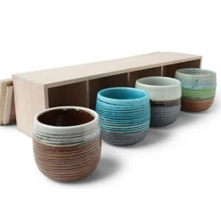 Haruto 8 Oz. Teacup Set