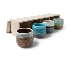Haruto 8 Oz. Teacup Set