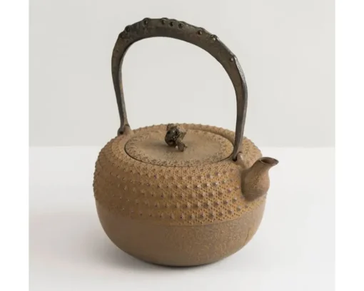 Iwachu Kettle Tetsubin Gravel Turtleshell Brown
