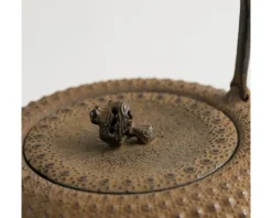 Iwachu Kettle Tetsubin Gravel Turtleshell Brown