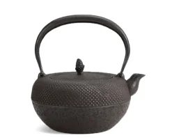 Iwachu Kettle Tetsubin Higuchi Arare