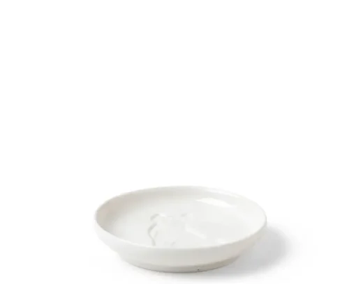 Sauce Dish Dog Sitting