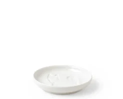 Sauce Dish Dog Standing