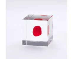 Sola Cube Huayruro Seed