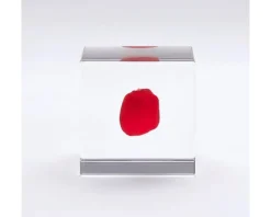 Sola Cube Huayruro Seed