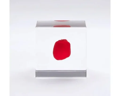 Sola Cube Huayruro Seed
